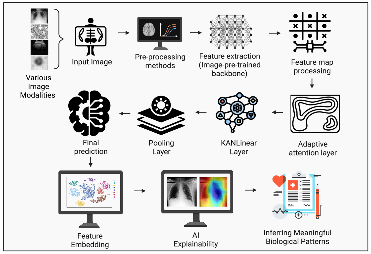 Medical_Image_Classification